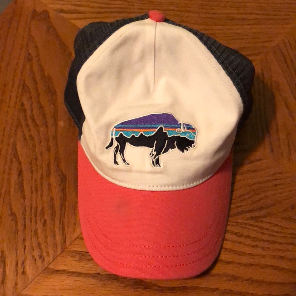 Patagonia Baseball Hat